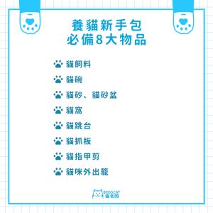 養貓注意事項|新手養貓入門必看！養貓準備、用品及家居注意事項